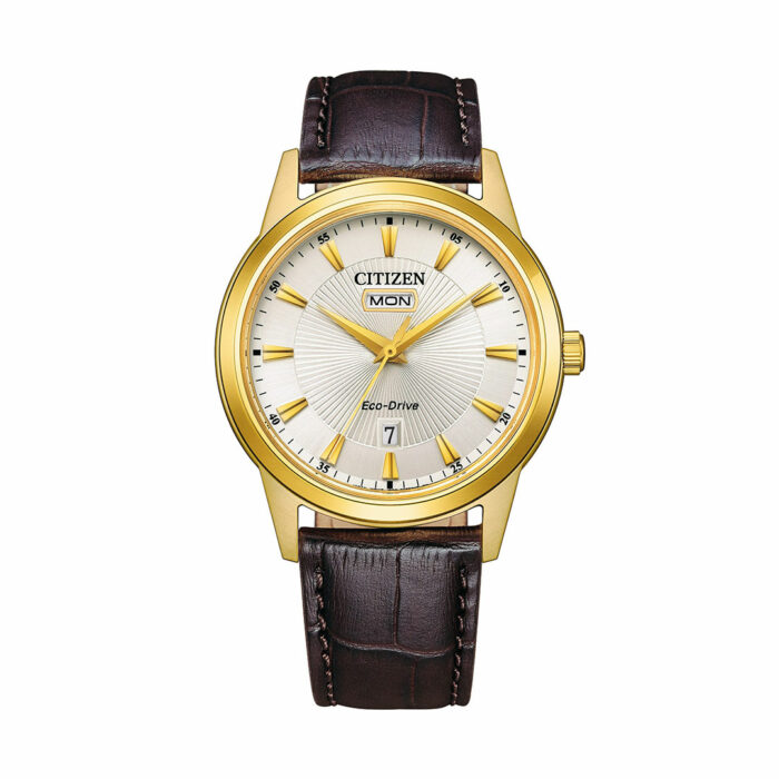 Montre Citizen Classic Eco-Drive AW0102-13A