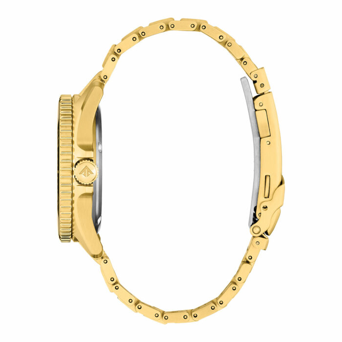 Montre Citizen Promaster Or BN0262-59W