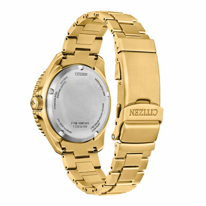Montre Citizen Promaster Or BN0262-59W