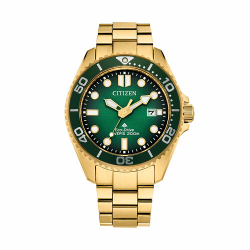 Montre Citizen Promaster Or BN0262-59W