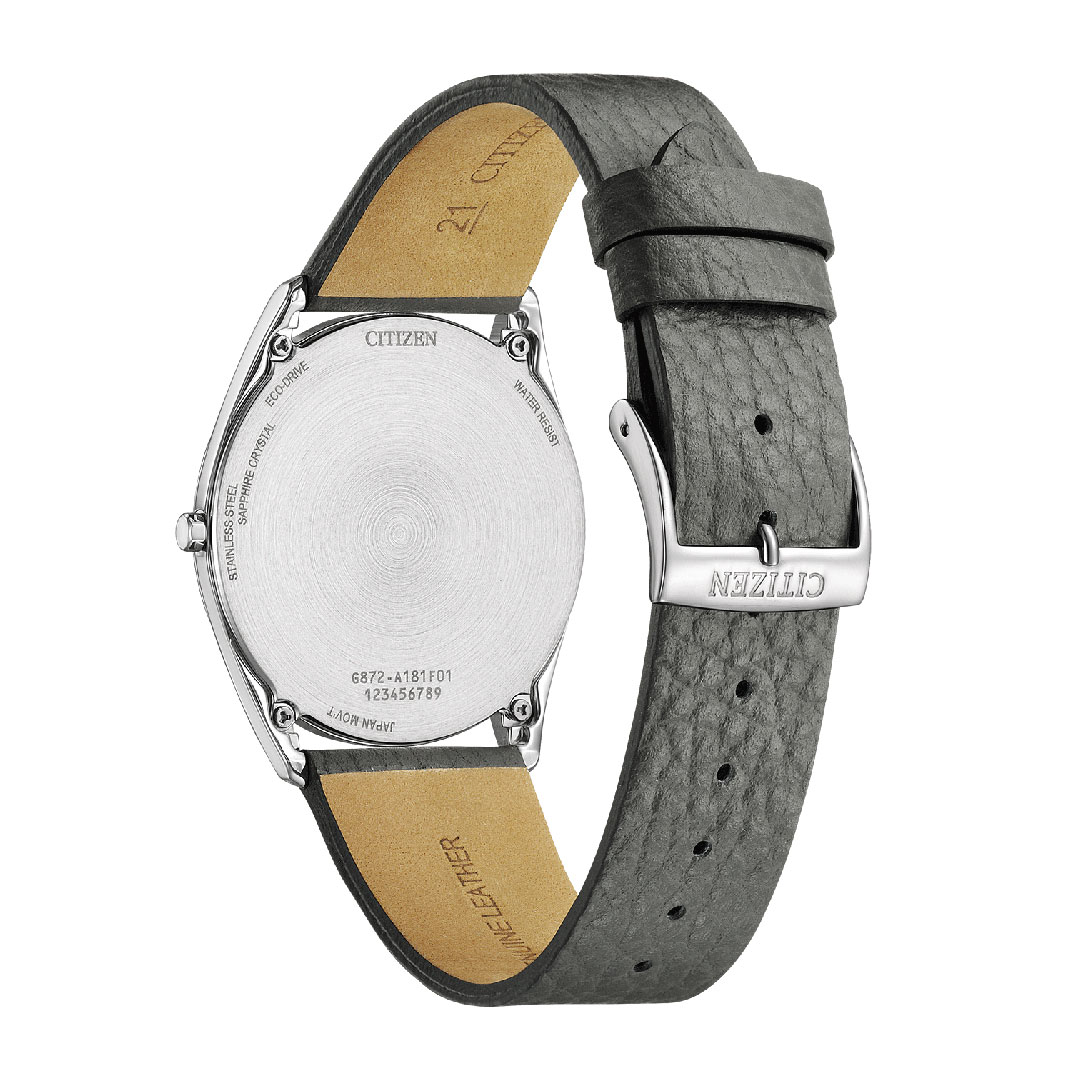 Citizen Suratto AR3120-24L