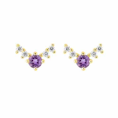 puces oreilles améthyste
