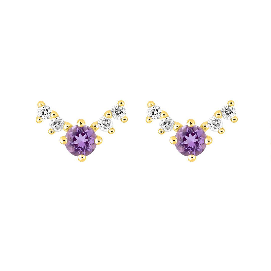 puces oreilles améthyste